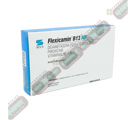 FLEXICAMIN B12 CAJA X 3 AMPOLLA--0070/8093