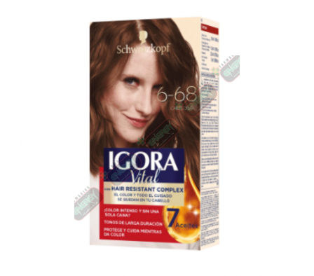 IGORA VITAL 6-68 CHOCOLATE EST 50ML-8908