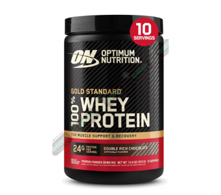 ON 100% WGS GF DOUBLE CHOCOLATE 310 GR- 10SERV